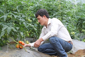 Đồng hành hỗ trợ và thúc đẩy sản xuất nông nghiệp   