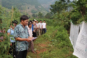 Thành phố: Tổ chức 78 lớp tập huấn kỹ thuật trồng trọt, chăn nuôi cho 3.417 nông dân