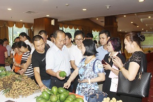 Giải pháp phát triển HTX nông nghiệp hiệu quả, bền vững