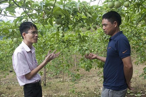 Phòng giao dịch Ngân hàng Chính sách xã hội huyện Vân Hồ: Cánh cửa thoát nghèo của người dân