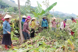 Mai Sơn: Tổ chức “Ngày về cơ sở xây dựng nông thôn mới”