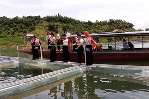 Phát huy tiềm năng các lòng hồ thủy điện trên sông Đà