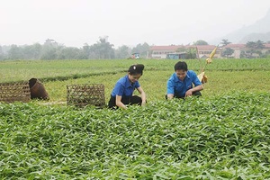 Đồng hành cùng thanh niên lập thân, lập nghiệp