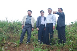 Kiểm tra công tác trồng và bảo vệ rừng tại Mộc Châu