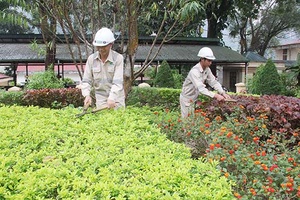Công ty CP Môi trường và Dịch vụ đô thị Sơn La - Chi nhánh Thuận Châu: Nỗ lực vì môi trường xanh - sạch - đẹp   