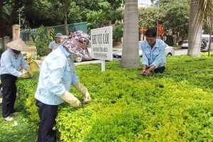 Quản lý cây xanh đô thị, vườn hoa trên địa bàn thành phố   
