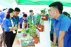 Sinh viên tự tin, sáng tạo, khởi nghiệp, thi đua “Sinh viên 5 tốt”
