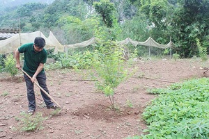 Chiềng Đen cán đích nông thôn mới