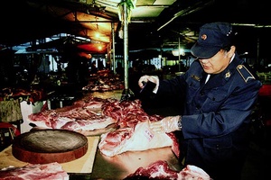 Công việc của những người kiểm soát giết mổ gia súc, gia cầm