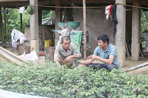 Mường Tè vượt khó
