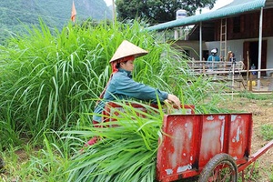 Phụ nữ Thành phố với các phong trào thi đua yêu nước