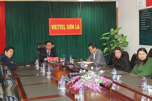Hội nghị trực tuyến triển khai Chương trình hành động của Chính phủ và Kế hoạch hành động của Bộ Văn hóa, Thể thao và Du lịch