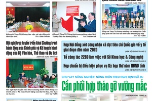 Báo Sơn La, Thứ 4 ngày 29/11/2017