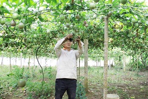Mộc Châu phát huy hiệu quả hoạt động của các hợp tác xã