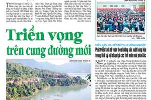 Báo Sơn La, Thứ 4 ngày 13/12/2017