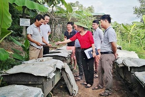 Hiệu quả từ mô hình nuôi ong lấy mật chất lượng cao