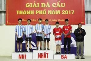 198 VĐV tham gia Giải đá cầu thành phố năm 2017