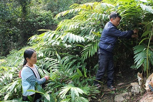Cầu nối đưa khoa học kỹ thuật đến với nông dân