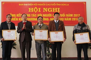 Ban đại diện Hội Người cao tuổi tỉnh: Đẩy mạnh phong trào thi đua “Tuổi cao – gương sáng”