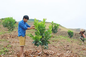 Khó khăn trong xây dựng nông thôn mới ở Lóng Sập
