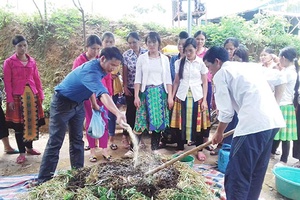 Ứng dụng công nghệ sinh học trong lĩnh vực nông nghiệp
