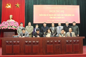 Hội nghị triển khai kế hoạch xuất khẩu sản phẩm nông sản năm 2018