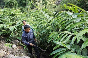 Lan tỏa phong trào thi đua “Dân vận khéo” ở Quỳnh Nhai   