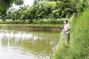 Hội Cựu chiến binh xã Gia Phù giúp nhau vượt khó