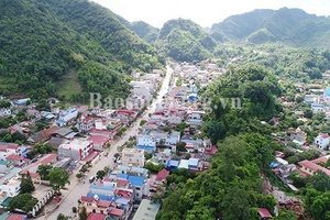 Mộc Châu: Đón trên 1 triệu lượt du khách tới thăm quan, trải nghiệm