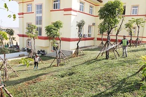 Góp sức giữ cho môi trường xanh - sạch - đẹp