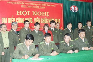 Số vụ vi phạm Luật Bảo vệ và Phát triển rừng giảm gần 17%