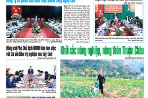 Báo Sơn La, Thứ 6 ngày 19/1/2018