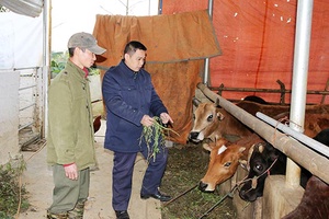 Đồng hành cùng người chăn nuôi