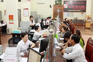 Agribank Chi nhánh tỉnh: Nhiều giải pháp tăng trưởng tín dụng