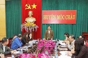 Họp chuẩn bị cho buổi truyền hình trực tiếp chương trình “Cặp lá yêu thương”