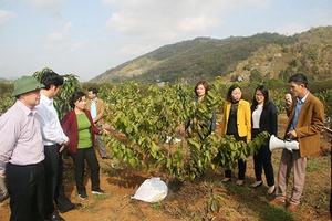 Nhiều giải pháp bảo đảm an toàn thực phẩm nông, lâm, thủy sản