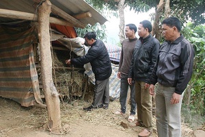 Chủ động phòng chống rét đậm, rét hại