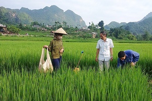 Thuận Châu: Hướng dẫn nông dân xây dựng nhiều mô hình khuyến nông