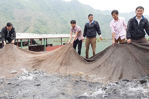 Trạm Khuyến nông Thuận Châu: Đánh giá mô hình cá rô phi đơn tính trong lồng tại xã Liệp Tè
