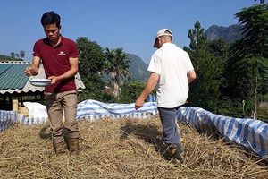 “Khuyến nông tự nguyện”- phòng chống đói, rét cho gia súc mùa đông