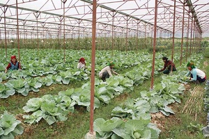 Những đồng vốn chính sách