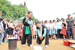 Phát triển du lịch gắn với bảo vệ môi trường