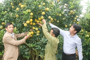 Khởi sắc nông nghiệp, nông thôn