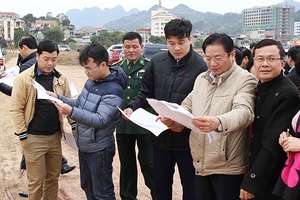 Chuẩn bị Tết trồng cây Xuân Mậu Tuất 2018