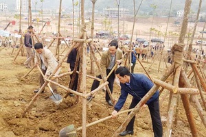 “Mùa xuân là Tết trồng cây, làm cho đất nước càng ngày càng xuân”