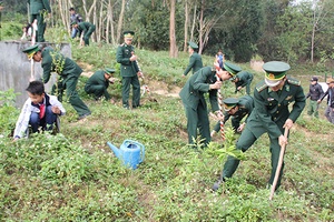 Các ngành, địa phương ra quân hưởng ứng Tết trồng cây đời đời nhớ ơn Bác