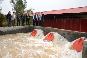 Đảm bảo nước gieo cấy vụ Đông Xuân cho khu vực Trung du và Đồng bằng Bắc bộ