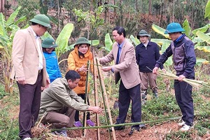 Mường La, Bắc Yên: Phát động Lễ trồng cây năm 2018