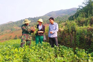 Trung tâm Khuyến nông tỉnh: Mở rộng hợp tác trong lĩnh vực nông nghiệp