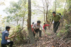 Chủ động phòng cháy, chữa cháy rừng mùa khô hanh